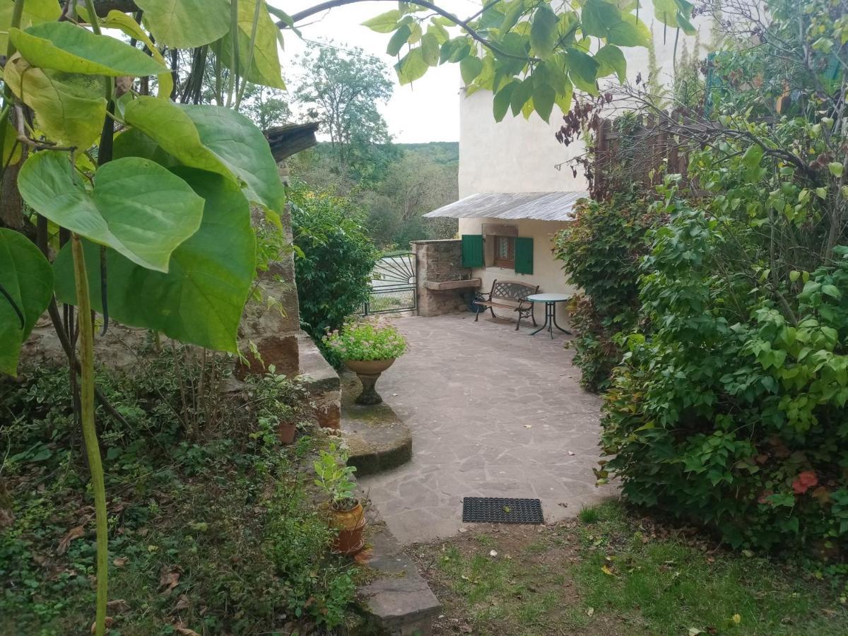 Maison Avec Jardin Entre Cordes/Ciel Et Monesties Salles  Eksteriør billede